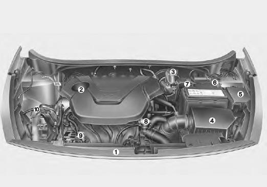 Compartiment-moteur