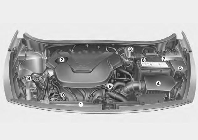 Compartiment-moteur