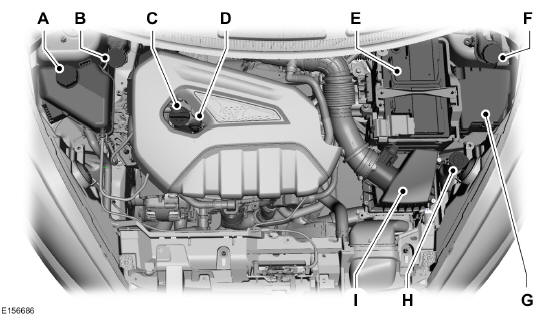 Vue d'ensemble sous le capot - 1.6L EcoBoost 