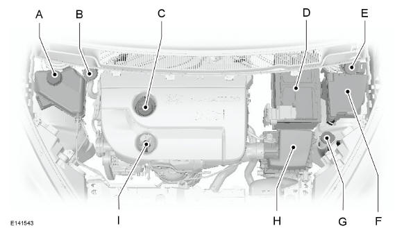 Vue d'ensemble sous le capot - 1.6L Duratorq-TDCi (DV) Diesel